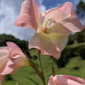 Meet your Posher, Marion